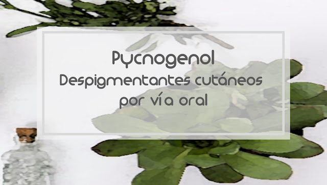 Pycnogenol, despigmentantes cutáneos por vía oral