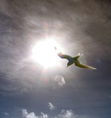 zwevend op de wind...