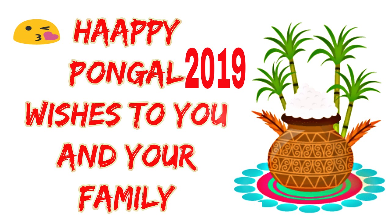 Best 20 Happy Pongal Quotes 2019 Happy Pongal Quotes In Tamil Happy
