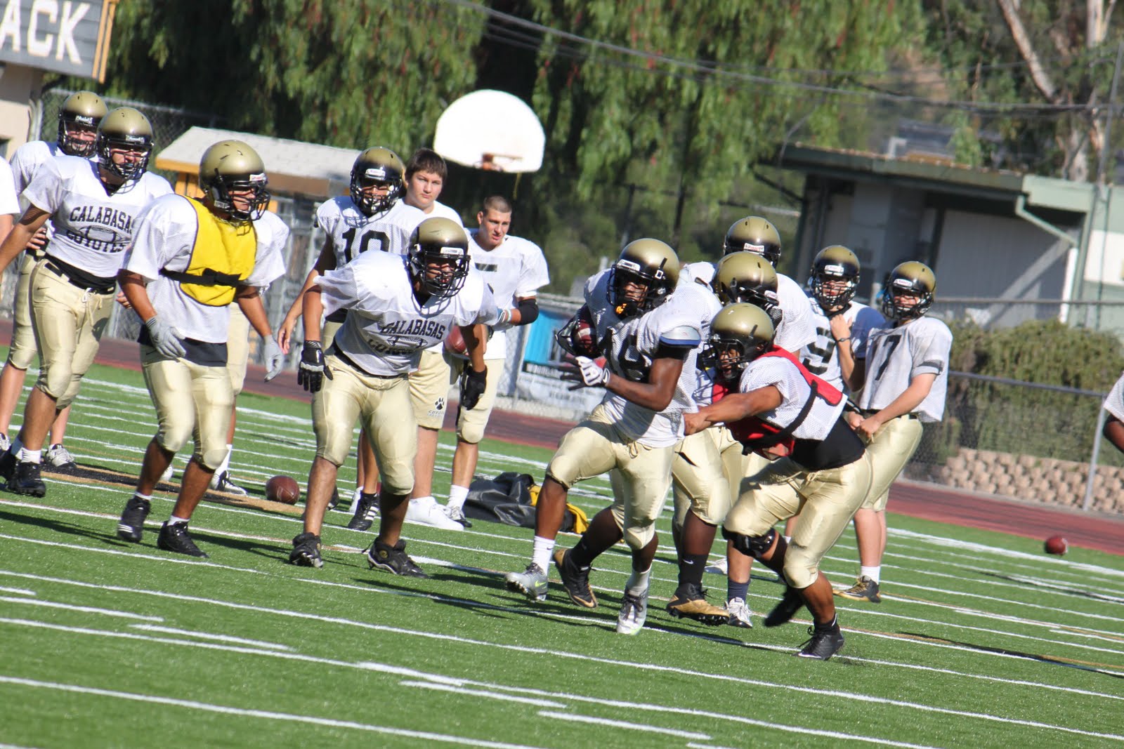 Calabasas Pack Back 20112012