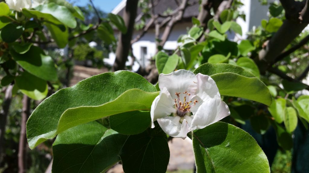 Towerwater Aan De Breede: Gods water oor Gods akker