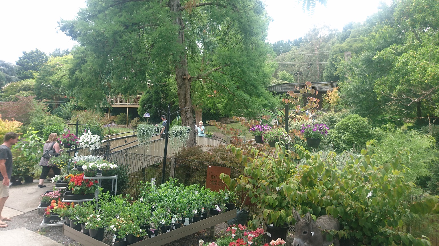 Warran Glen Garden Centre & Cafe, Warrandyte by Bureaucrat Eat and Be