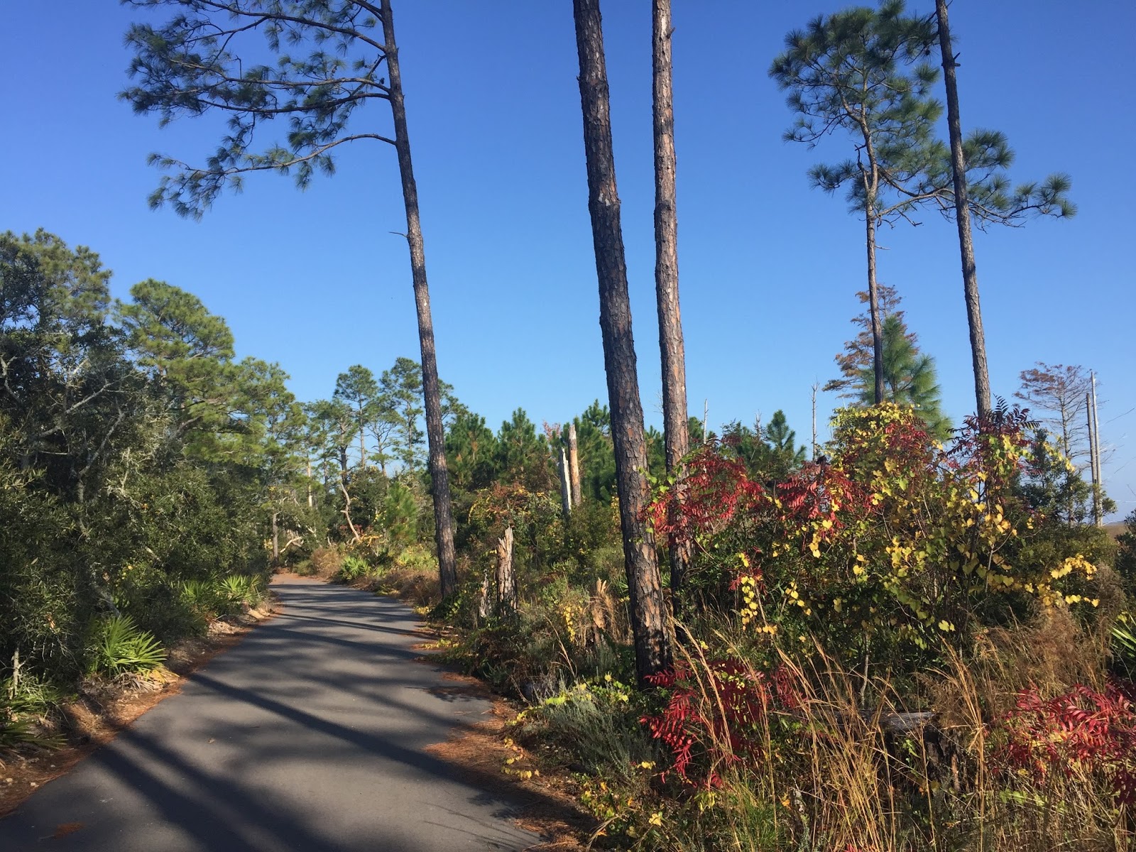 Travel Reviews & Information Orange Beach, Alabama / bike trails