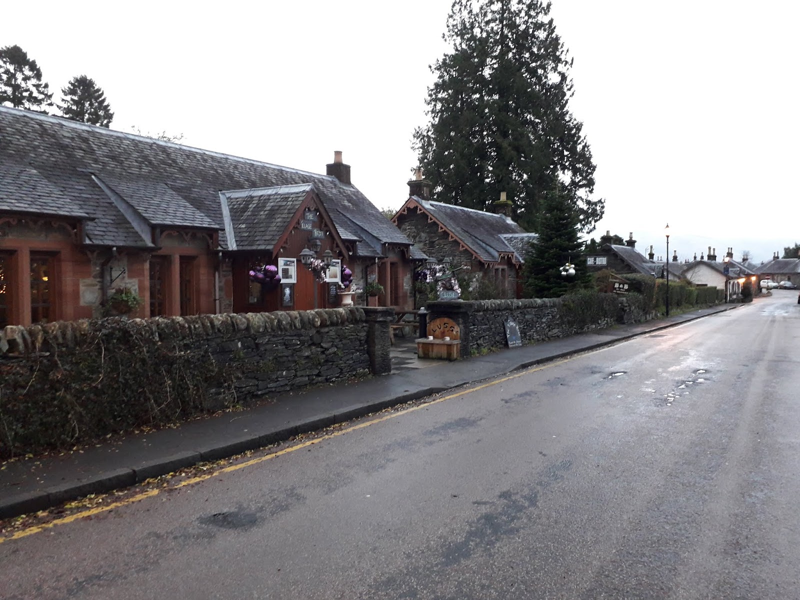 Fraulein Krog Dezember 2018