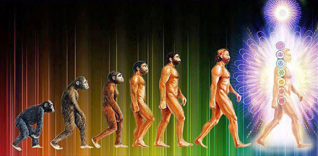 The-Right-Path-Of-Evolution.jpg