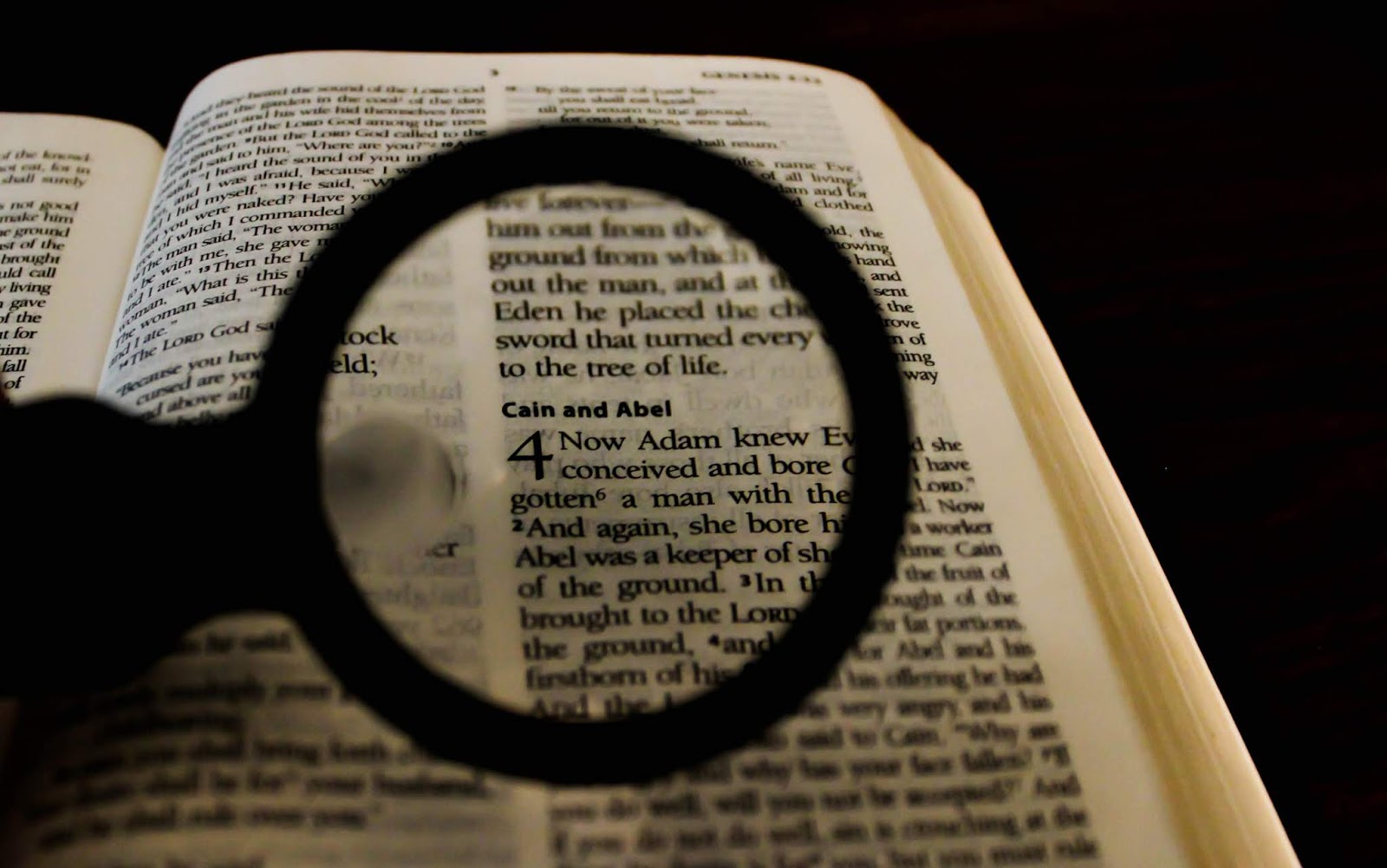 Where Did Cain's Wife Come From?