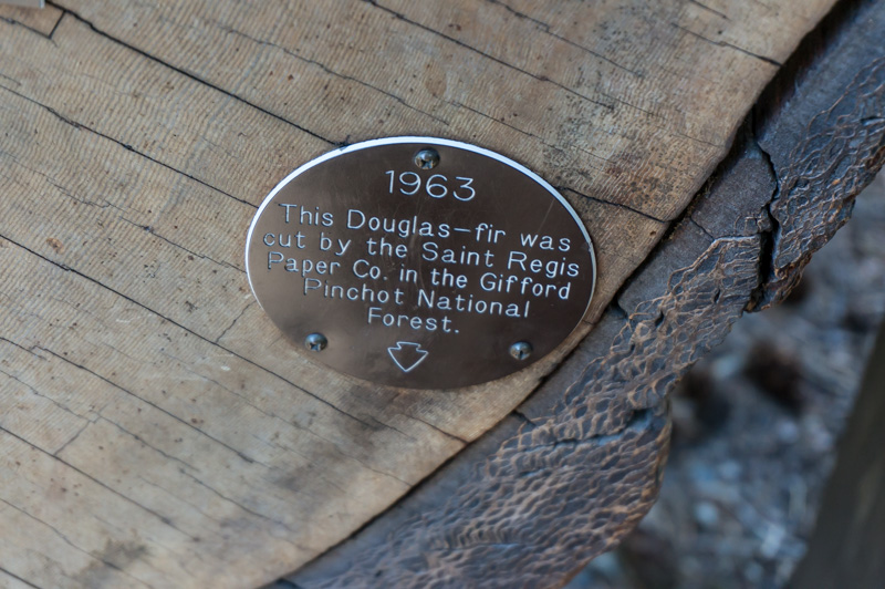 The Age of a Joshua Tree Sciphotos