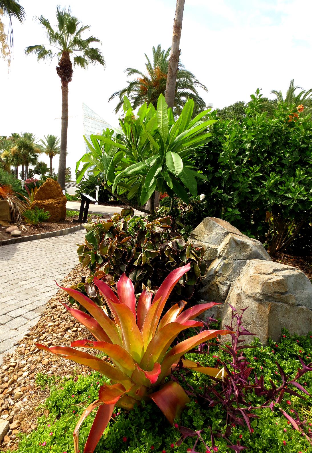 Tropical Texana: OTHER TROPICAL GARDENS: A VISIT TO ... Tropical Texana: OTHER TROPICAL GARDENS: A VISIT TO ... on Tropical Backyard
id=17858