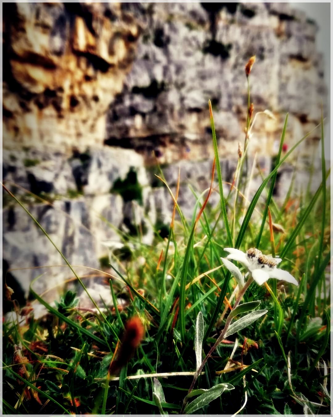 HikingTrails-93229048916