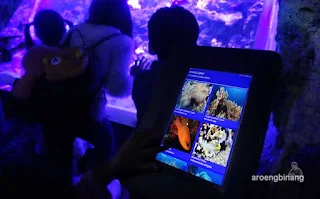 jakarta aquarium neo soho