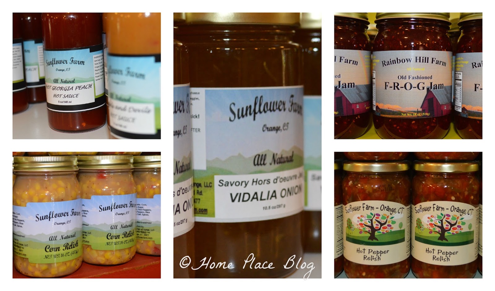 Home Place Cash Mob CT at Sunflower Farm in Orange CT