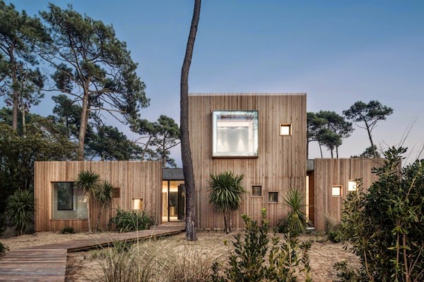 The perfect replica of the pine wood