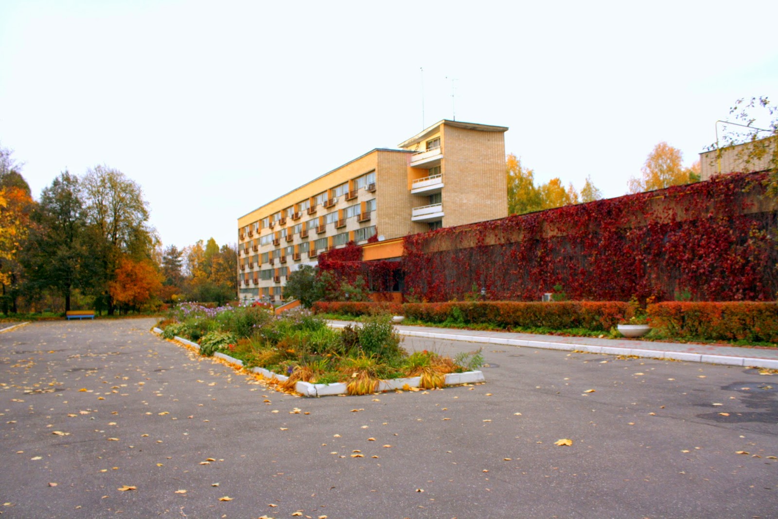 Санаторий дружба в пушкине