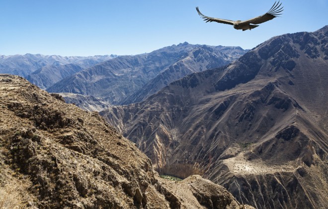 daniela wurdack: Perù : Il Colca Canyon e il volo del Condor..