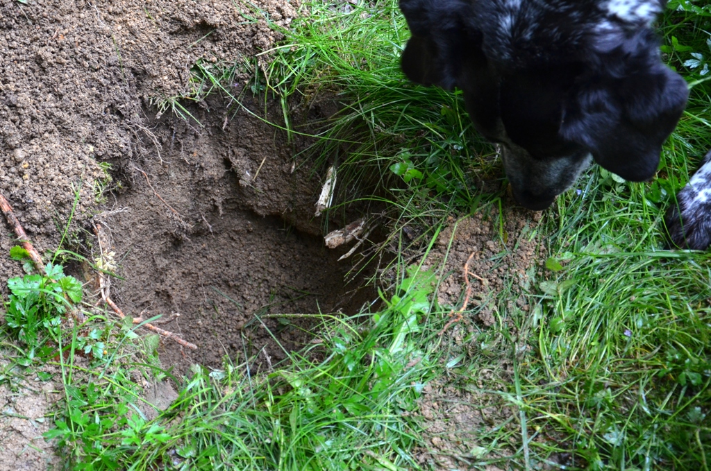 Das Mädel vom Land Im Untergrund