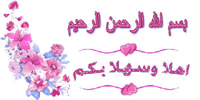 الشرح الوافي لواجهه بوكس z3x Samsung Tool PRO 27.9