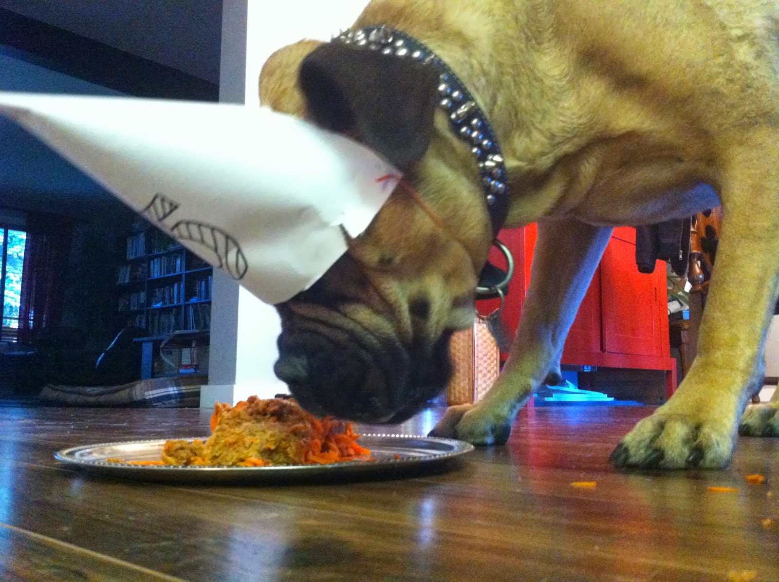 Food Swoon Peanut Butter Carrot Cake (For Dogs)