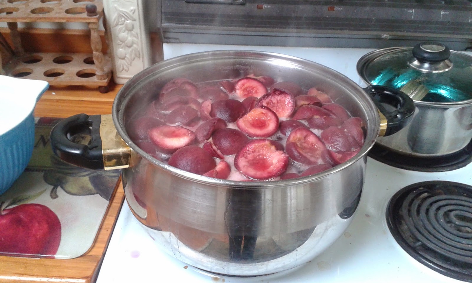 The Professional Countrywoman Garden Blog Preserving Black Boy Peaches