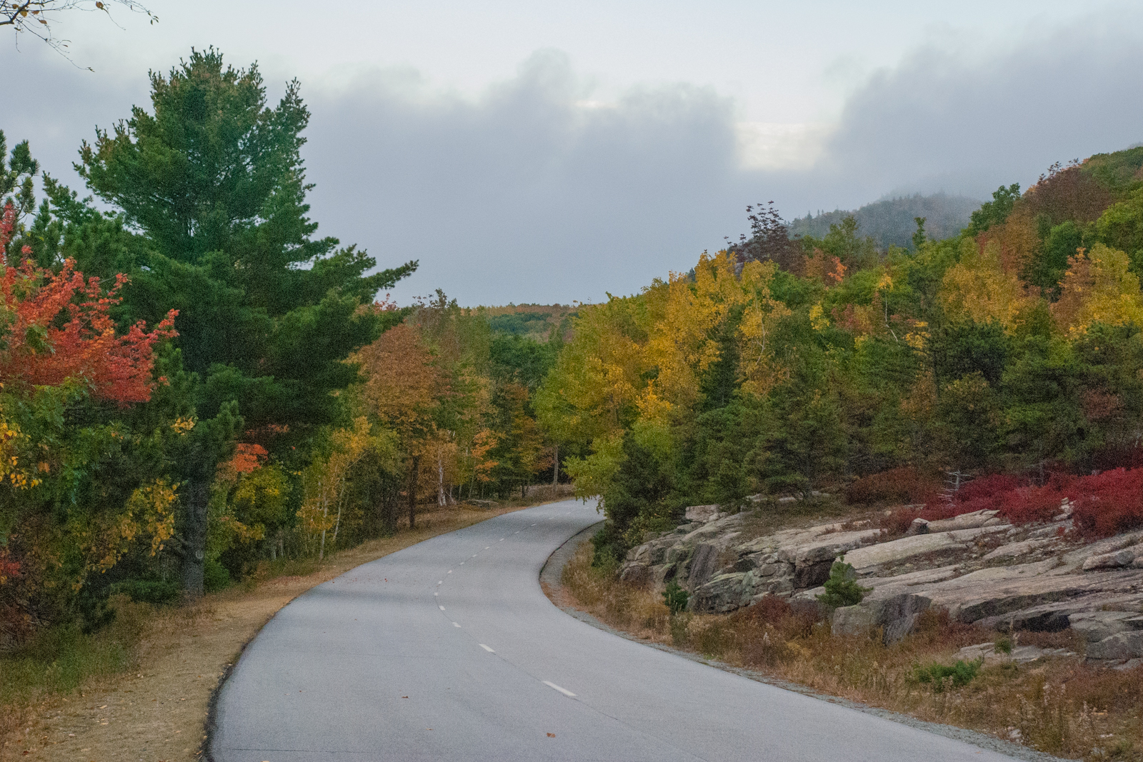 Pacific Northwest Photography Driving the Park Loop Road, Acadia