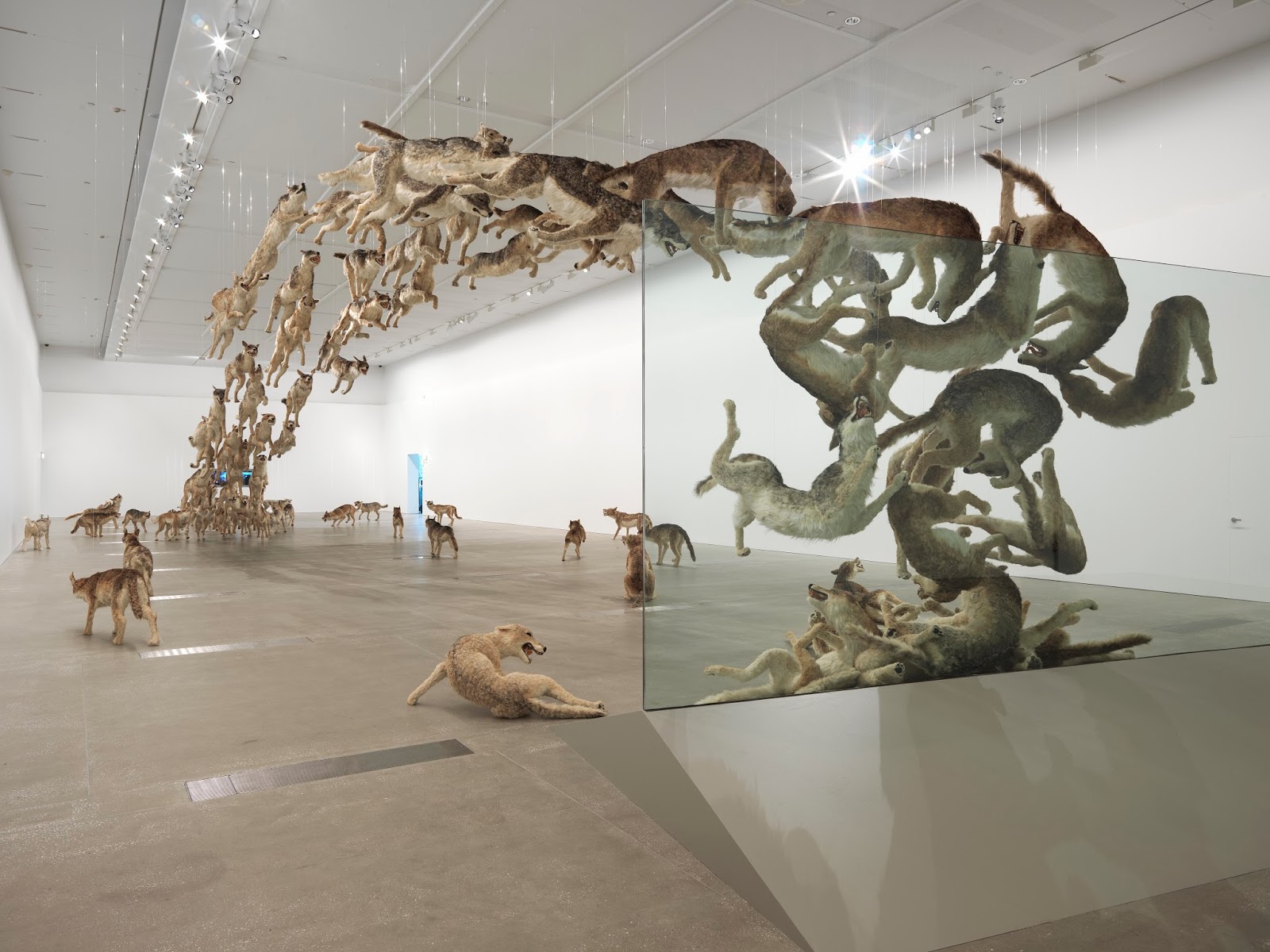 an art teacher in China: Falling Back to Earth: Cai Guo-Qiang in Brisbane