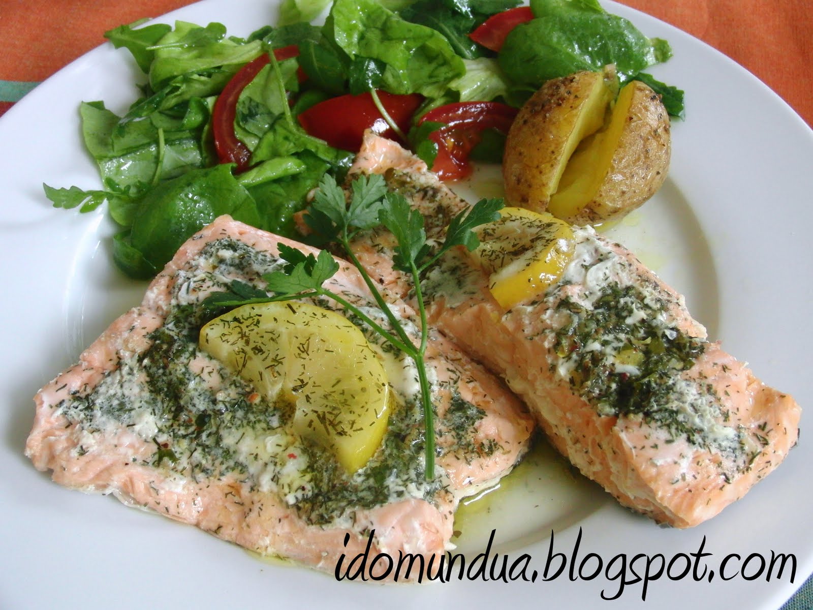 idomundua SALMÓN EN PAPILLOTE CON ENELDO