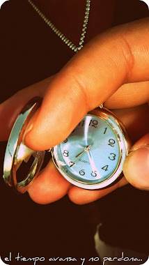 No desperdicies tu tiempo, vive en el ahora o nunca, mañana quizas ya no tengas mas horas