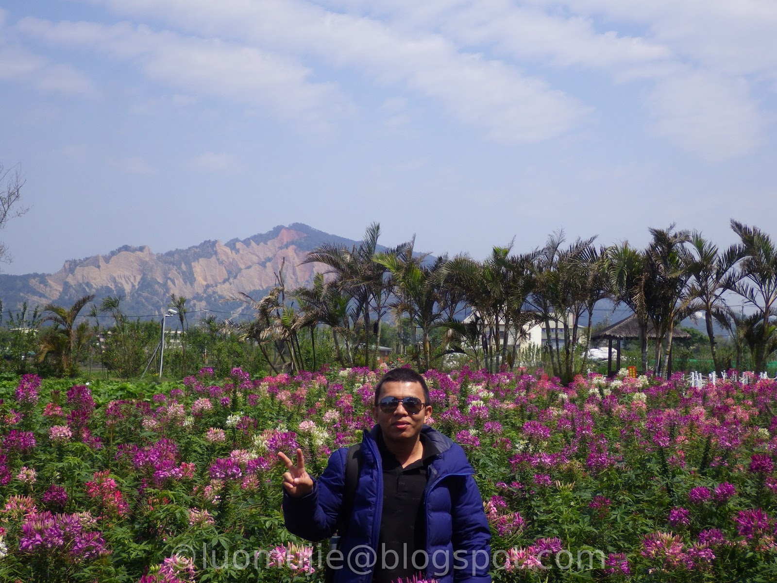 Zhongshe Flower Market - Houli Flower Farm