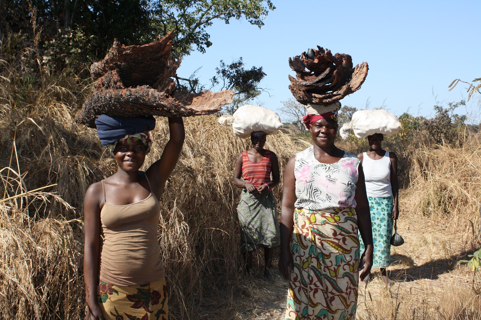 Tracking Elephants: In Praise of the Women of Zambia