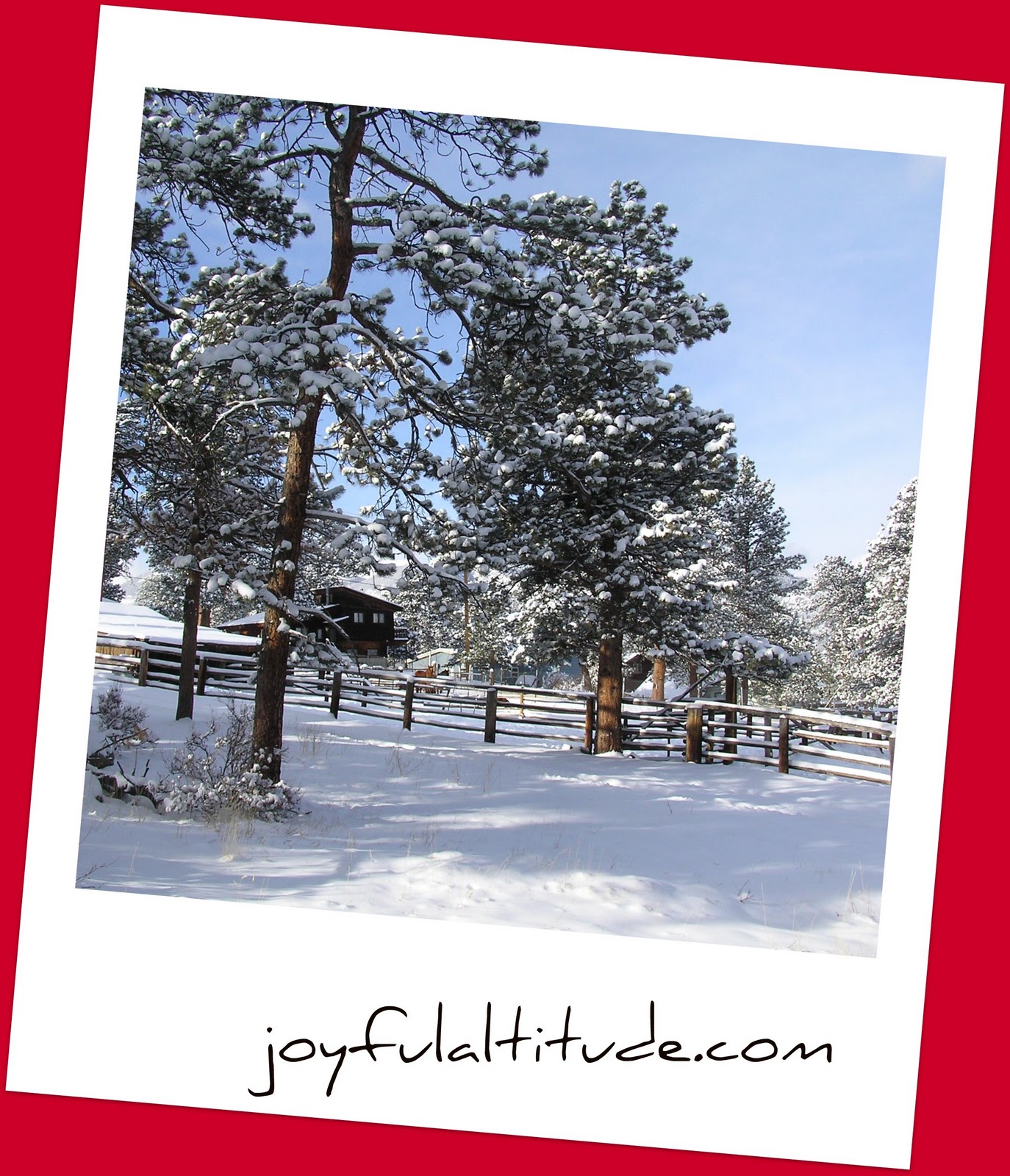 Joyful Altitude Christmas on the Homestead