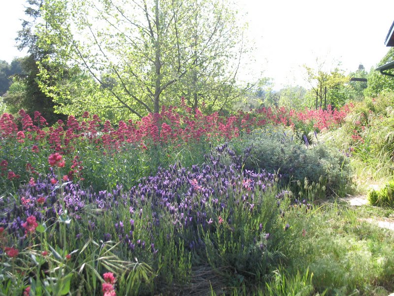 News from Oak Creek Ranch Flower Bed and Vegetable Garden