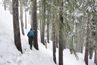 Michael edging along the steeper section at Mount Becher