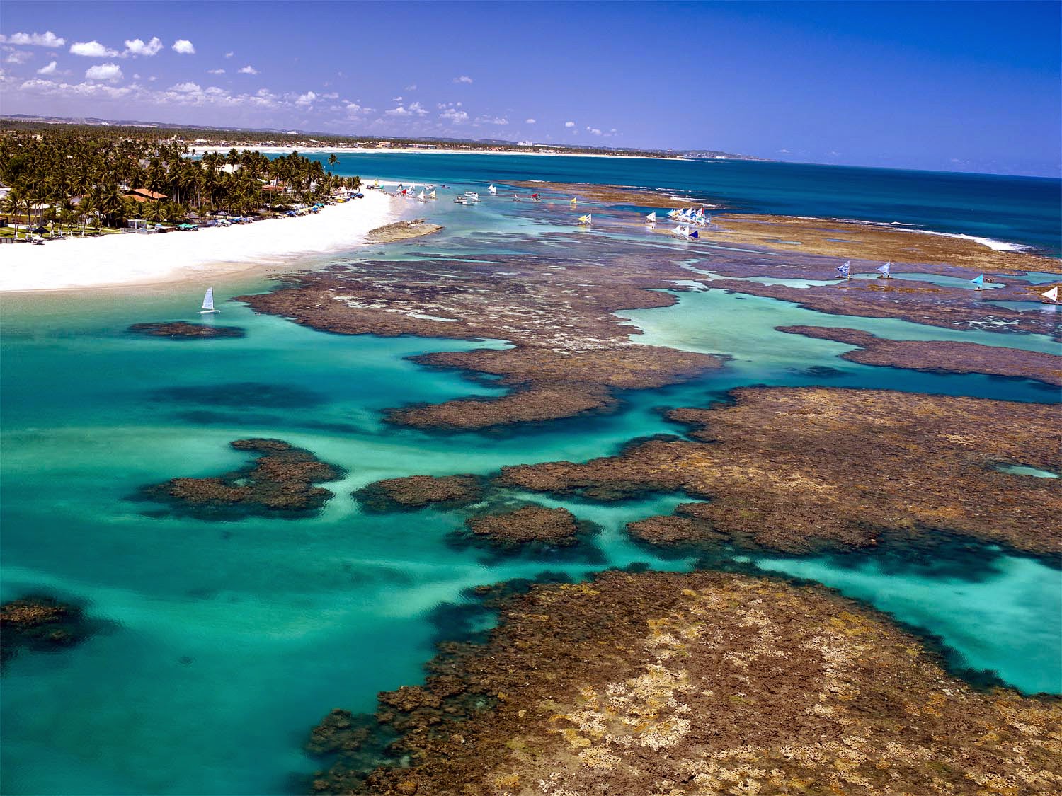 As dez melhores praias de Pernambuco Recifiano As dez melhores praias de Pernambuco Recifiano