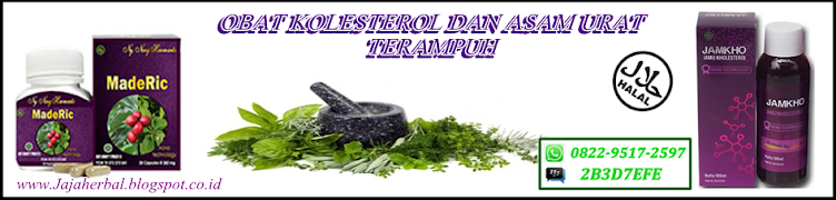 Obat kolesterol dan asam urat terampuh