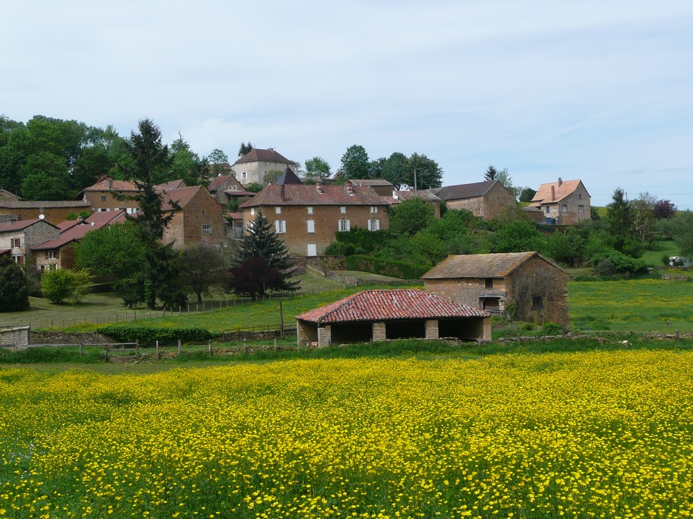 Amur Sortie à Lournand.