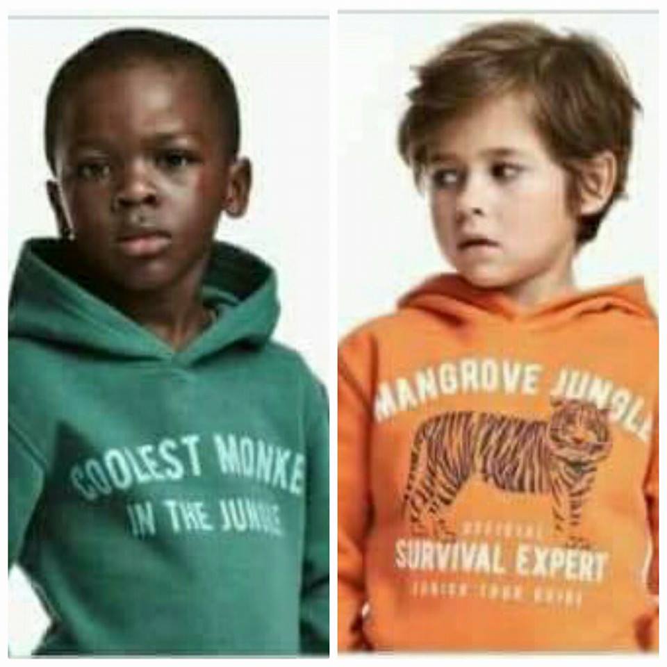 coolest monkey in the jungle sweater