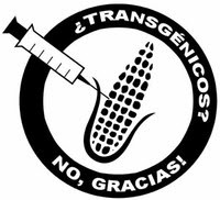 NOTA: ¿QUE SON LOS TRANSGENICOS?