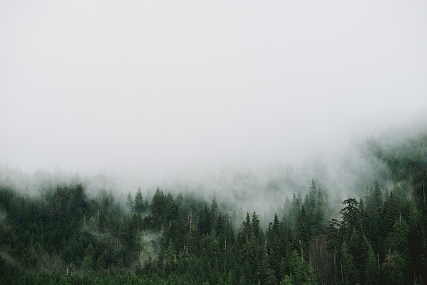 Mr and Mrs Globe Trot: PNW: The Place We Call Home | 1 of 2