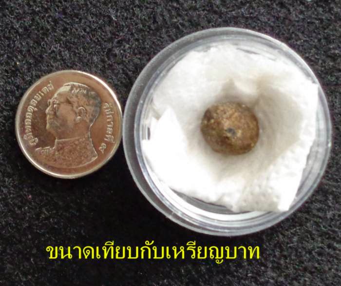 My Image 24