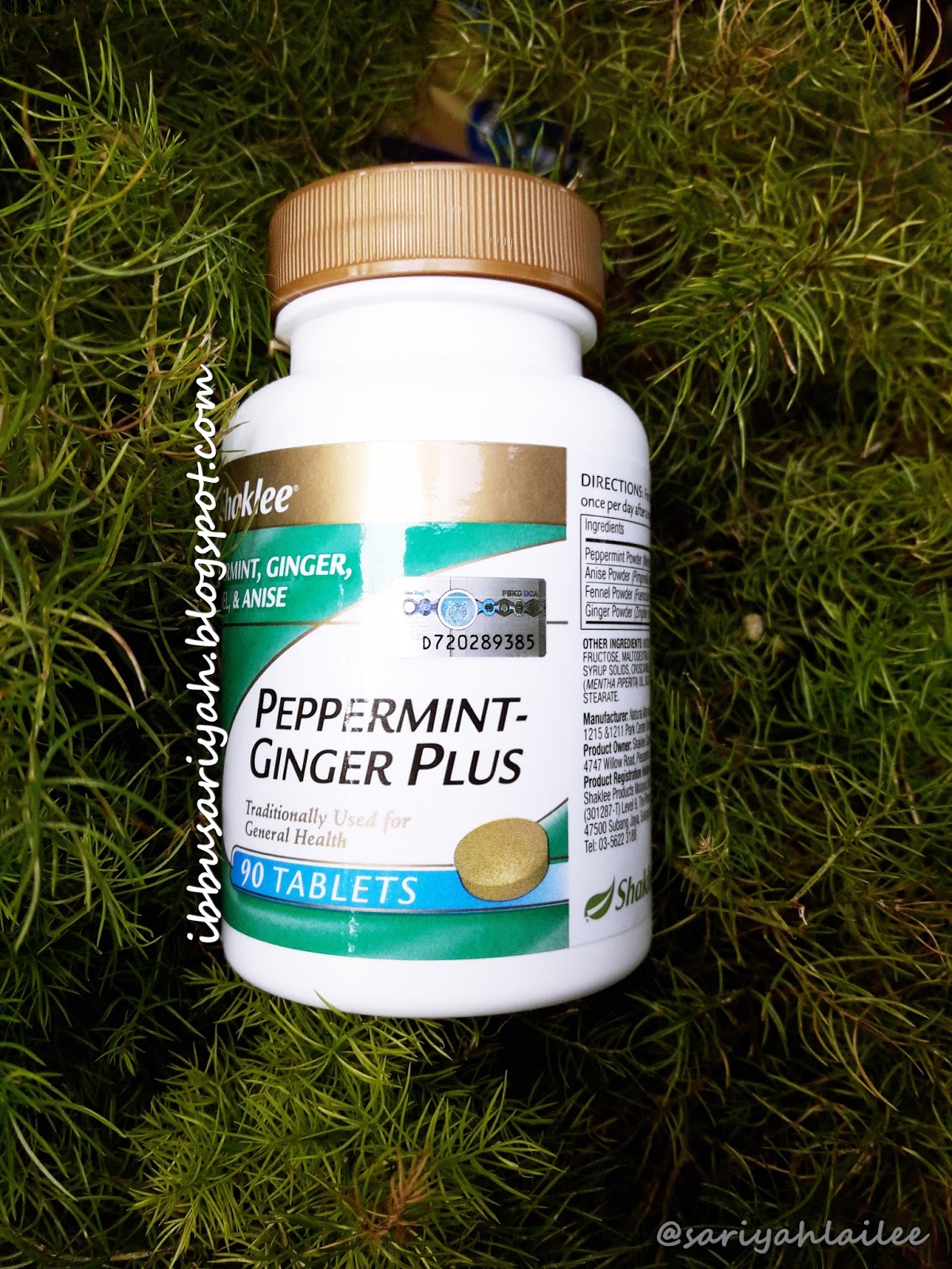 IbbuSarryah Kelebihan dan Kebaikan Peppermint Ginger Plus Shaklee