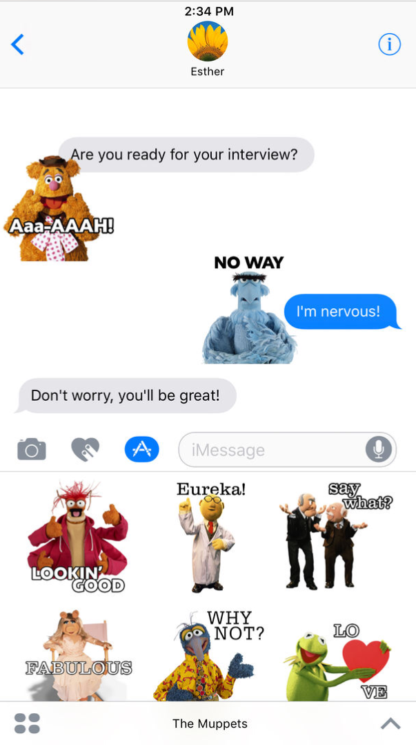 Muppet Stuff: Muppet 