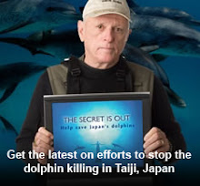 The Dolphin Project