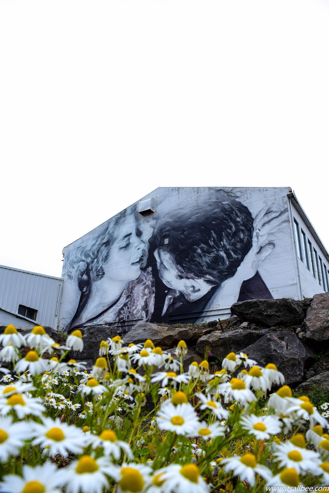 Iceland Street Art| A Colourful Side of Iceland You Need To Check Out
