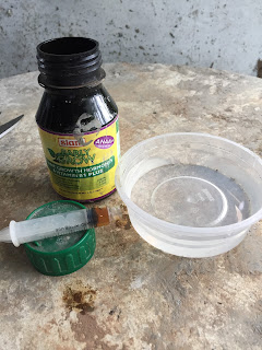 bonsai rooting hormone