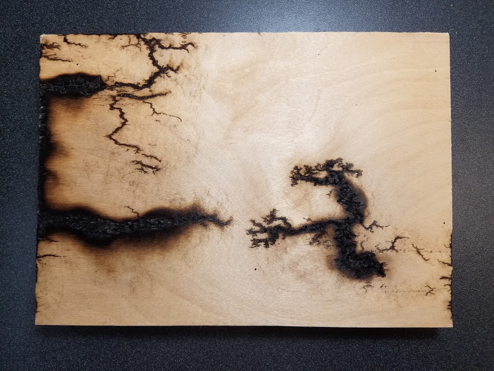 Mad Lab 5: Creating Lichtenberg Figures with Microwave Oven