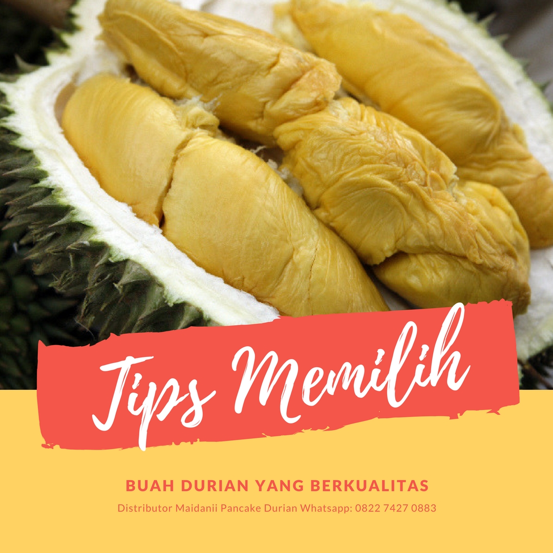 Cara Memilih Durian yang Enak