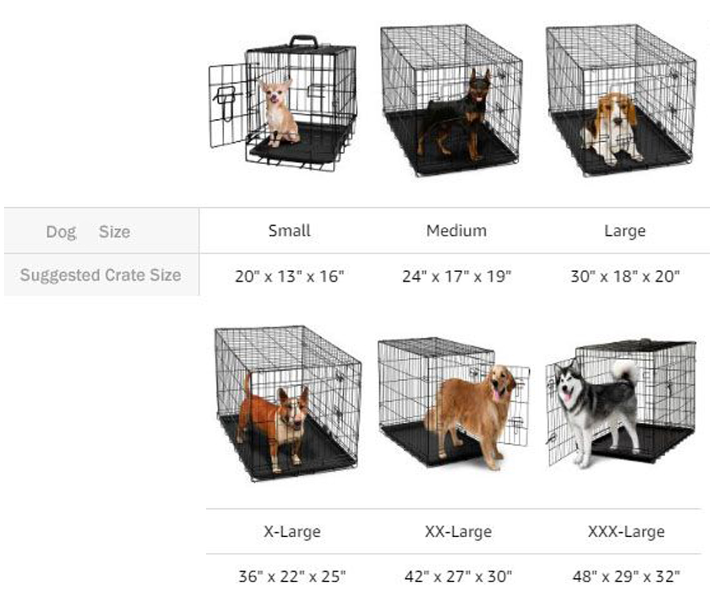 It's a Dog's World How to Select the Best Size Dog Crate