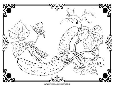 Kumpulan gambar untuk Belajar mewarnai: Mewarnai Gambar ...