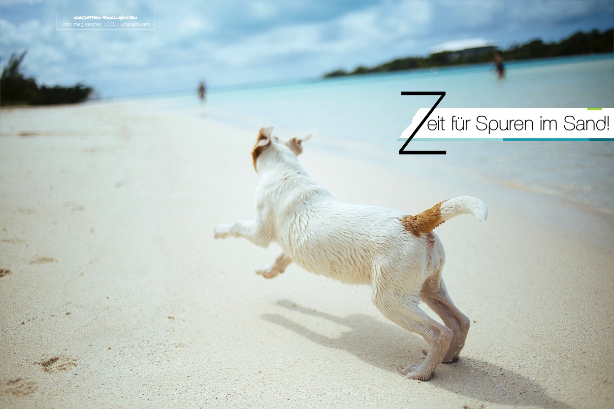 KROATIENEXKLUSIVBLOG Kroatien Urlaub mit Hund