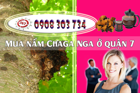 Văn phòng tư vấn bán nấm Chaga Nga tại quận 7