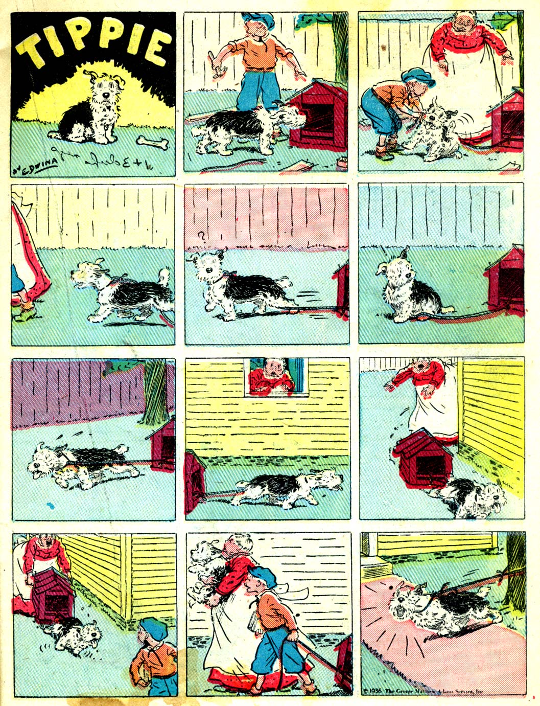 Read online All-American Comics (1939) comic -  Issue #11 - 15